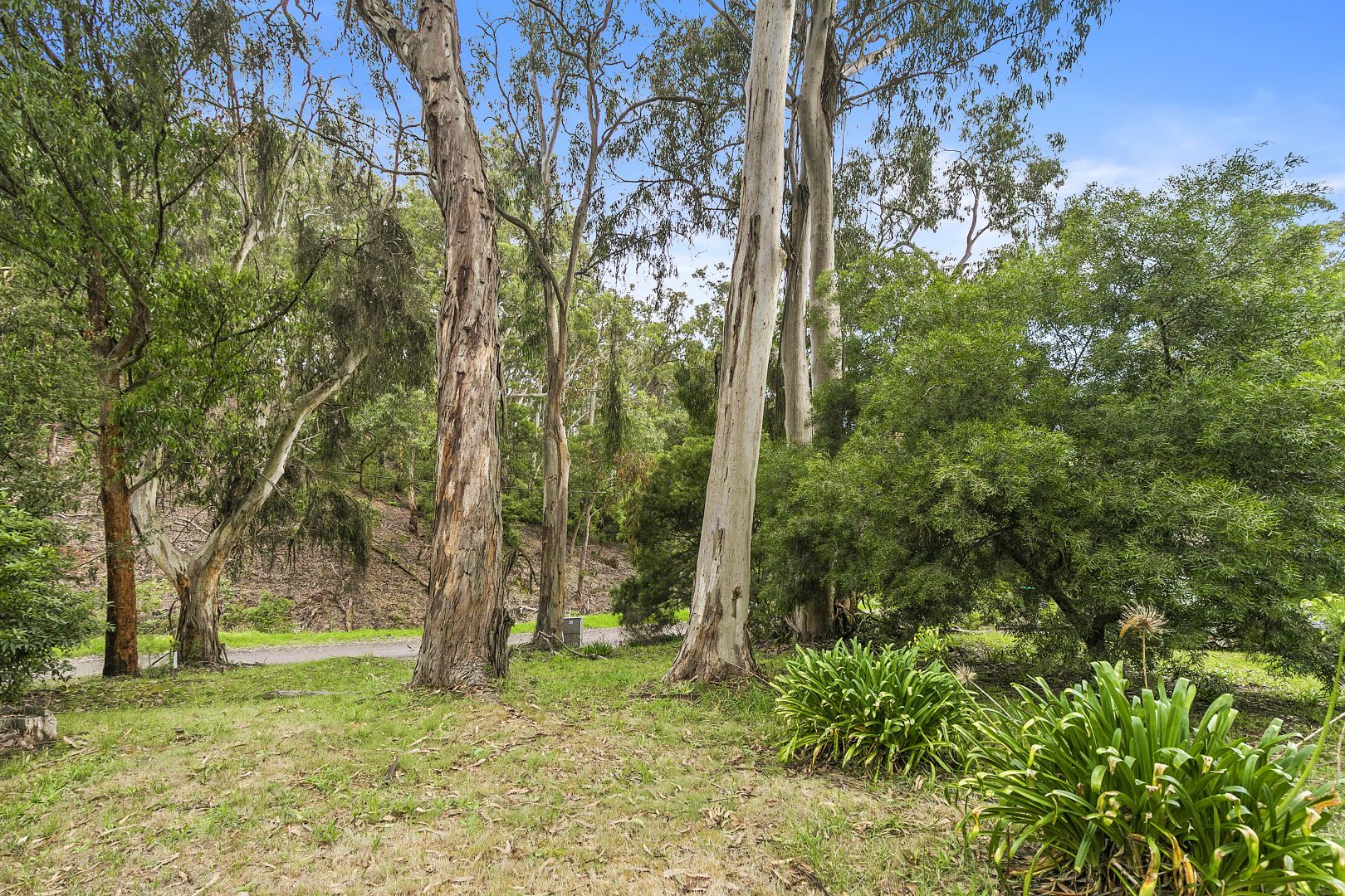 18 Cassidy Drive, Kennett River VIC 3234, Image 1