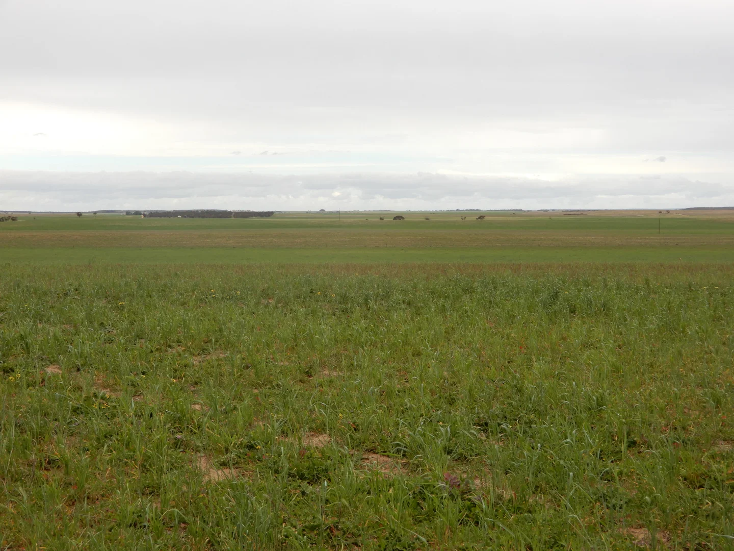 Image 13