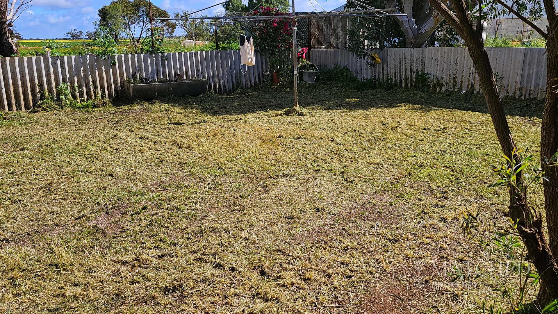 Image 23