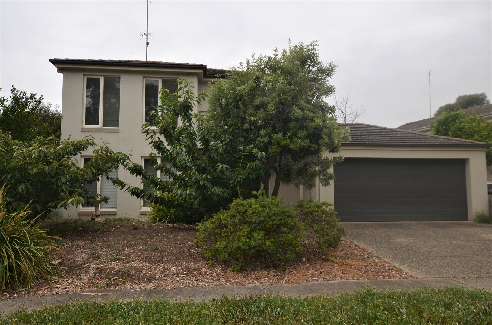 23 Gairloch Grove, Newtown VIC 3220 House For Rent 590 Domain