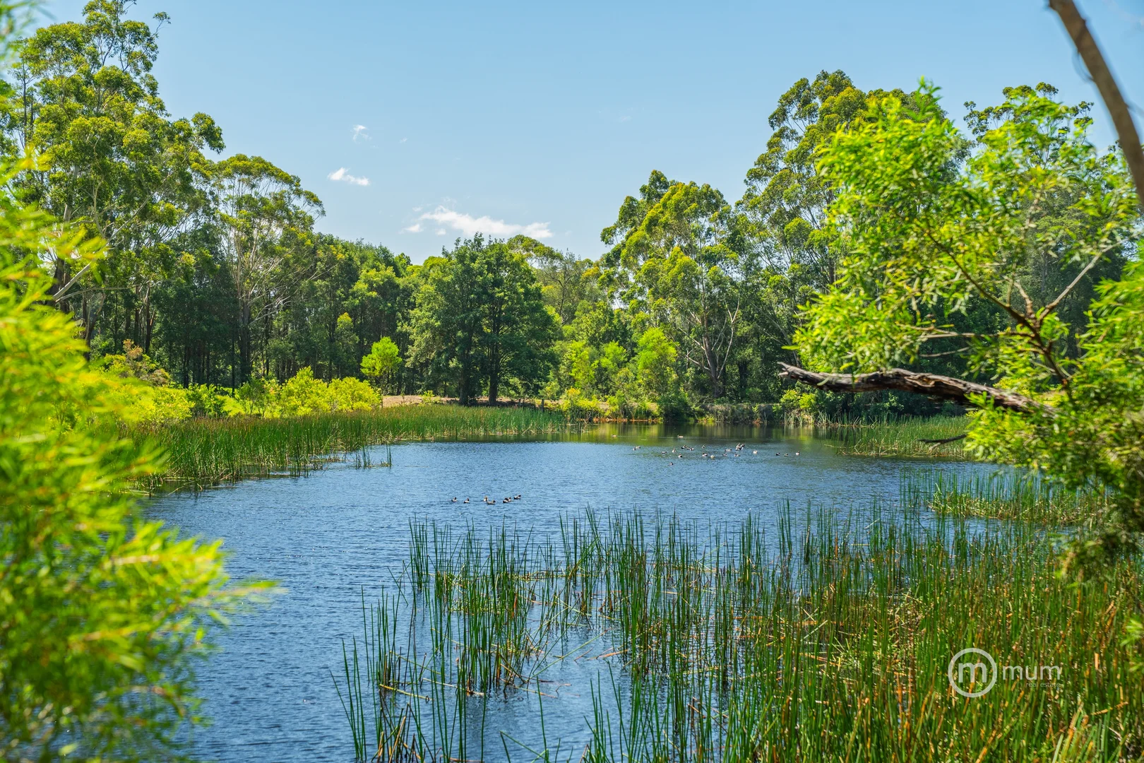 Additional image 5 of Milton NSW 2538