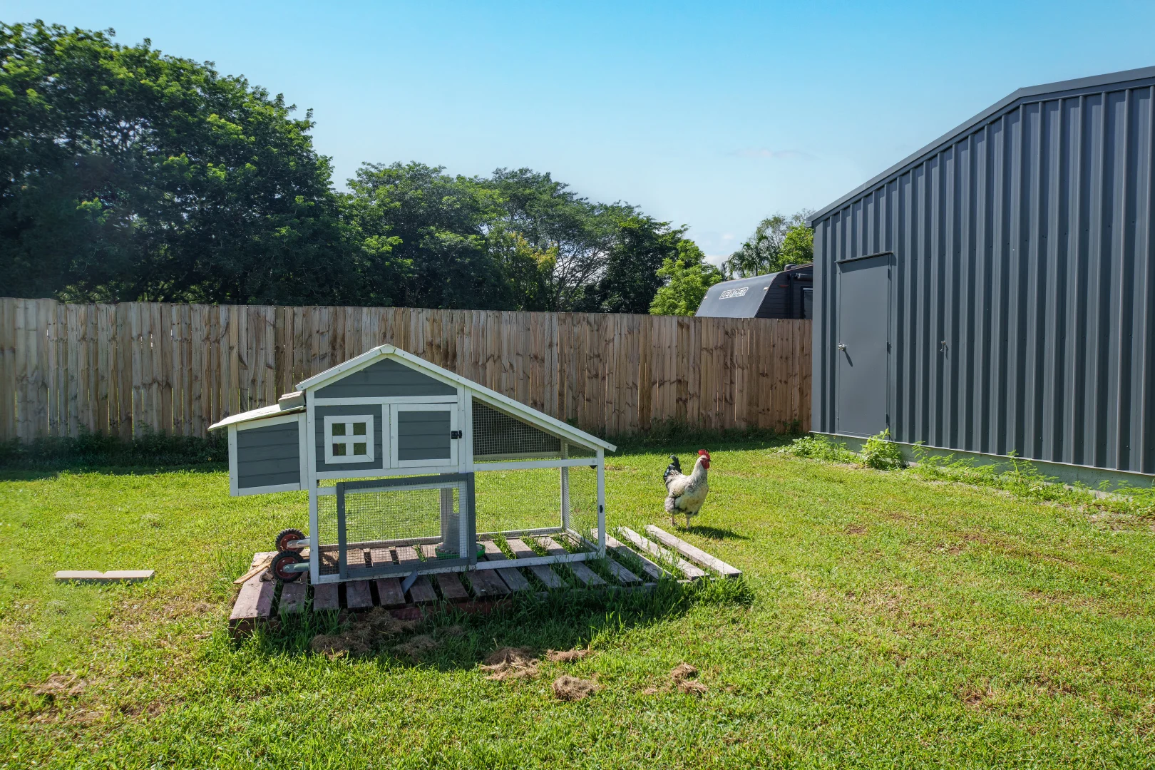 Additional image 20 of 41B Alligator Creek Road, Alligator Creek QLD 4816