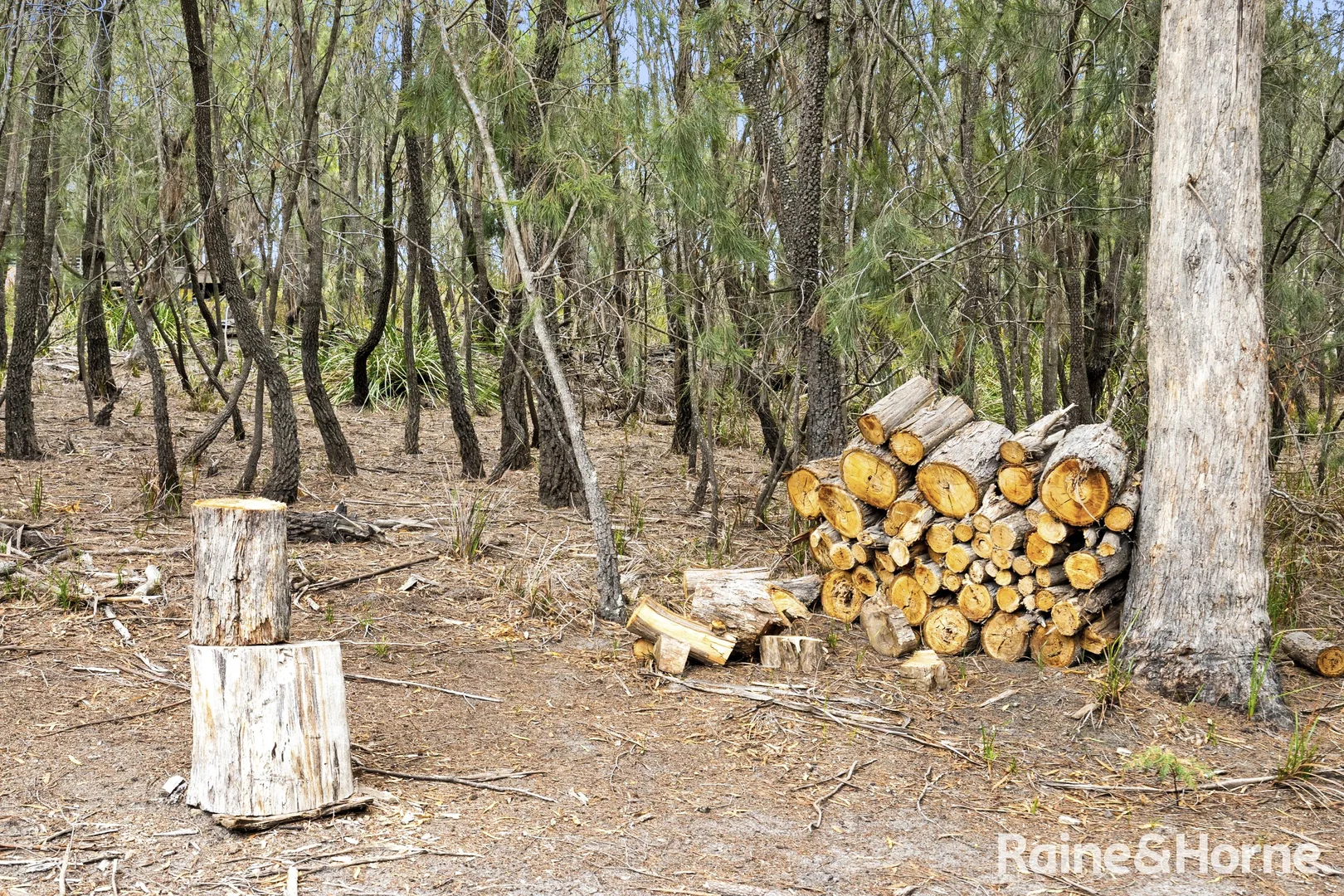 Additional image 21 of 6 Pelican Place, Boomer Bay TAS 7177