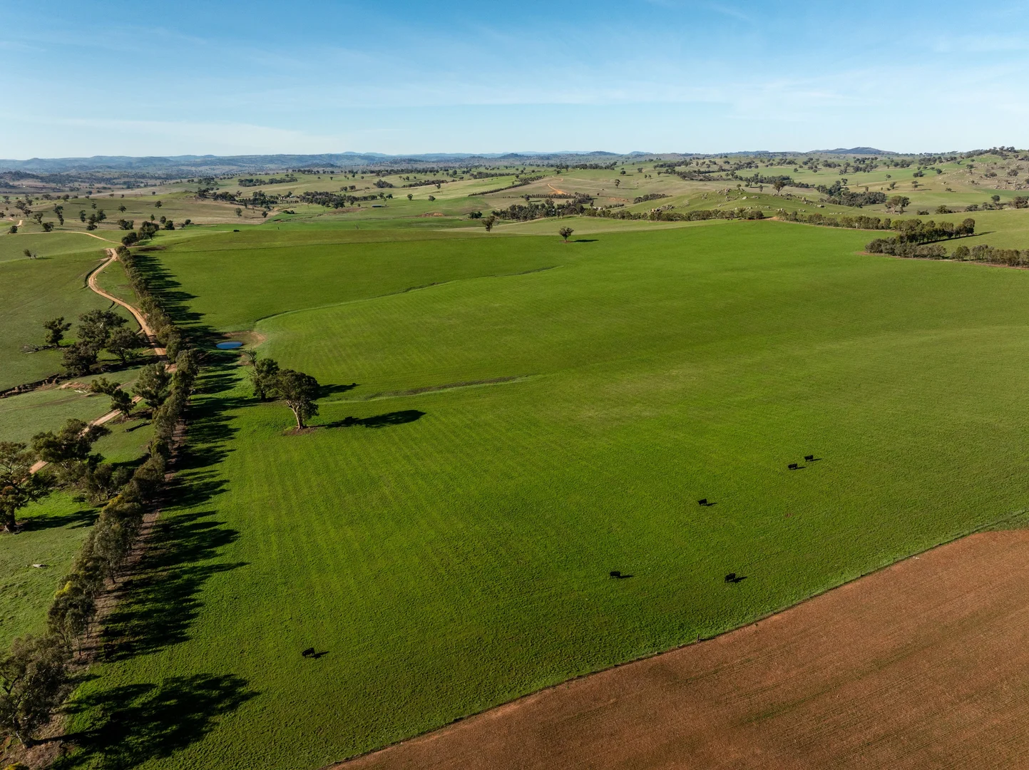 Additional image 19 of 478 Illawong Road, Jugiong NSW 2726