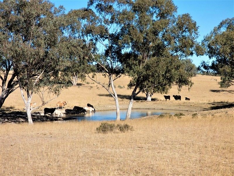 Lot 3 Springdale Road, Glenlyon QLD 4380, Image 2