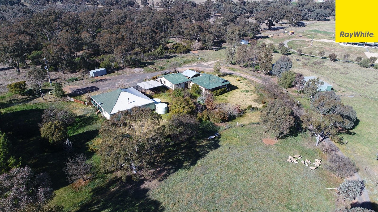 296 South Lead Road, Forbes NSW 2871, Image 0
