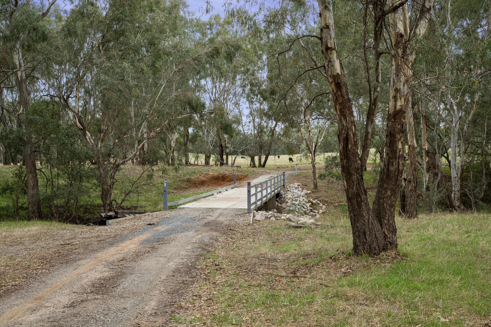 Image 24