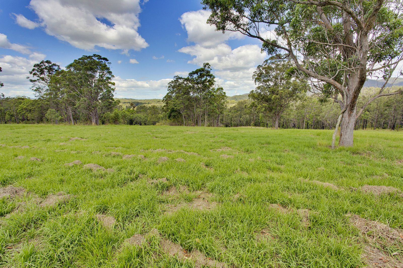 Lot 1 Willi Willi Road, Temagog NSW 2440, Image 1