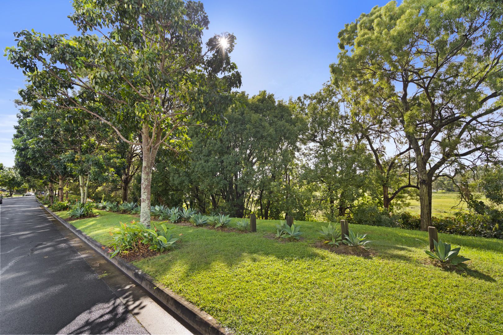 19 North Haven Place, Wellington Point QLD 4160, Image 1