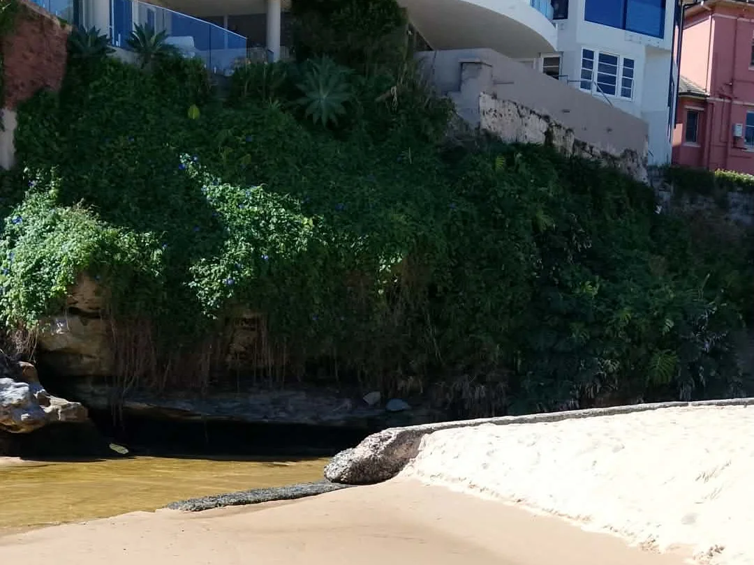 Additional image 36 of Queenscliff NSW 2096