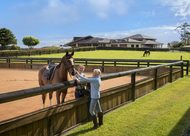 236 Mountain View Road, Maleny QLD 4552