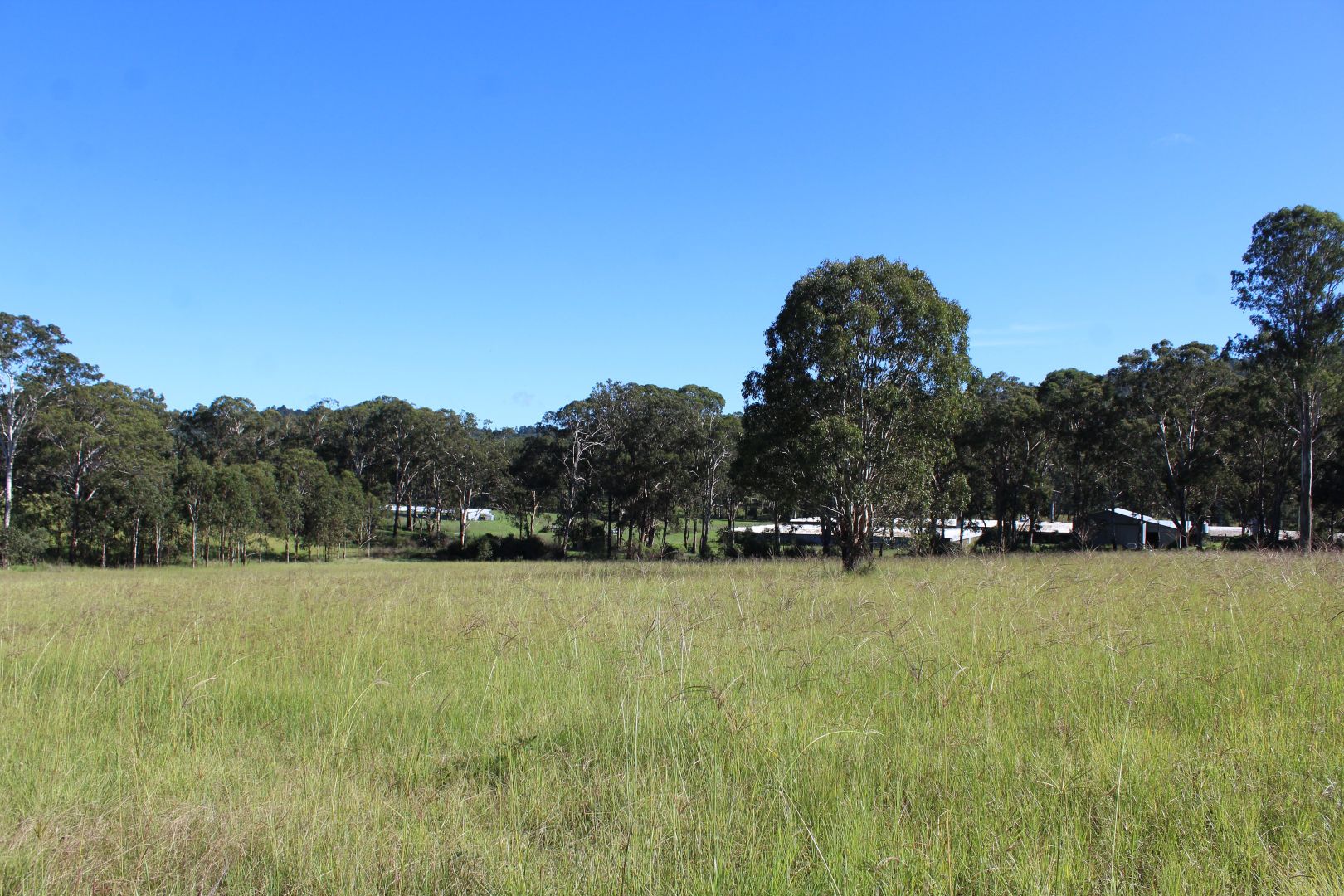 24 Carters Rd, Legume NSW 2476, Image 2