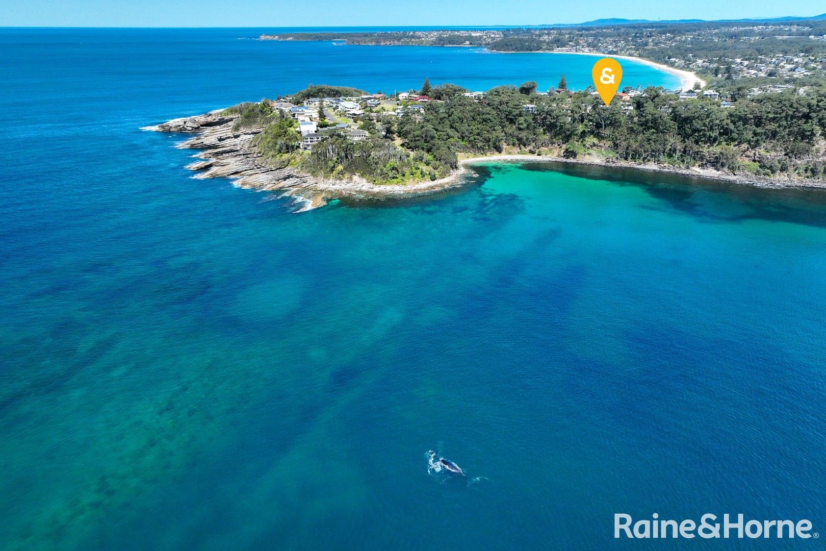 6 bedrooms House in 126 Bannister Head Road MOLLYMOOK BEACH NSW, 2539