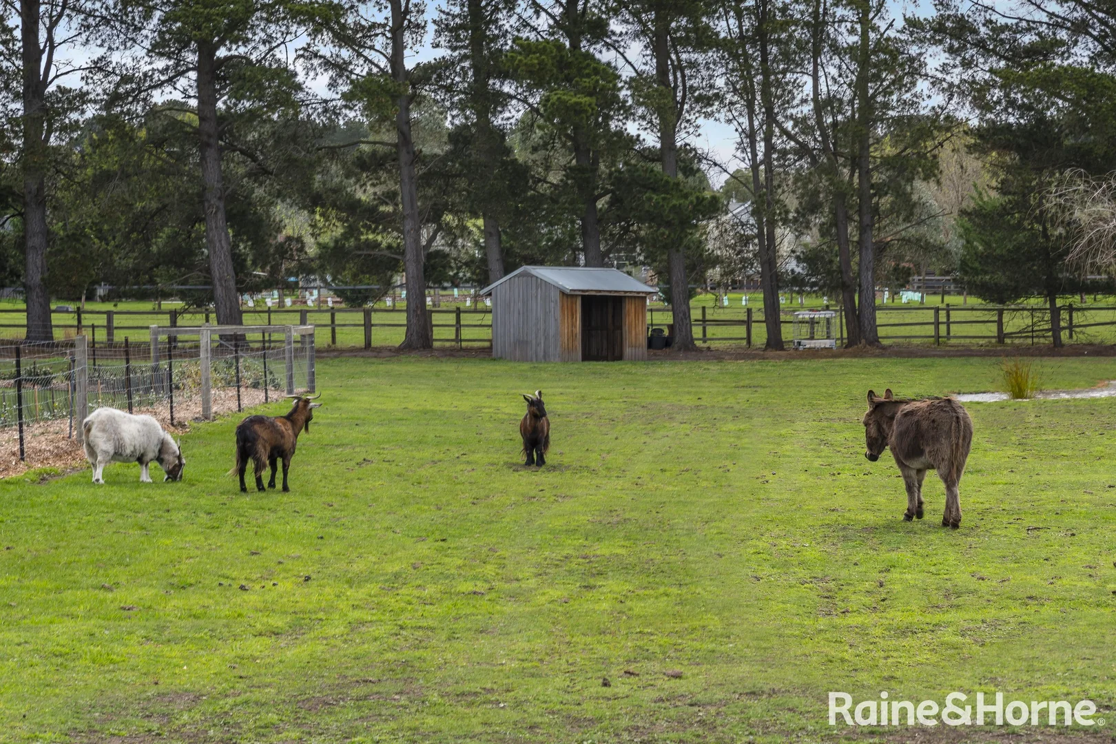 Additional image 22 of 7 Misty View Court, Gisborne VIC 3437