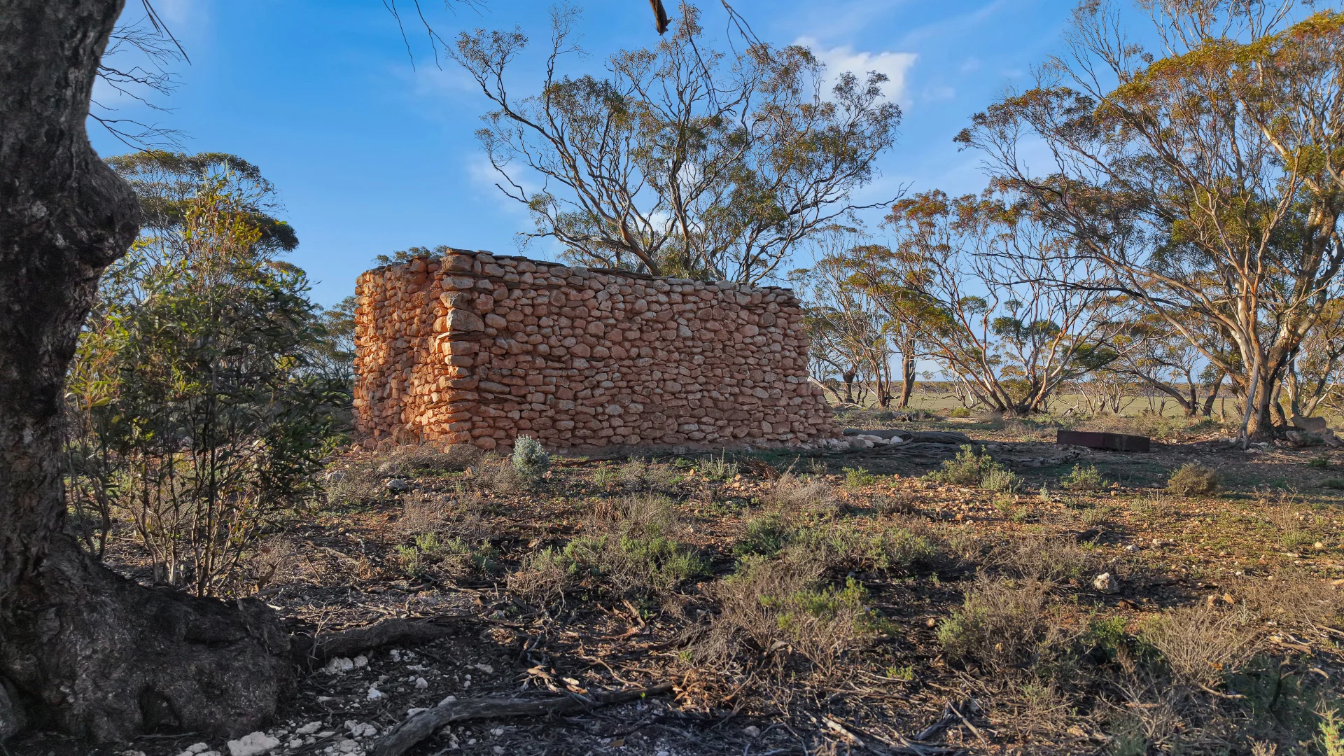 Image 12