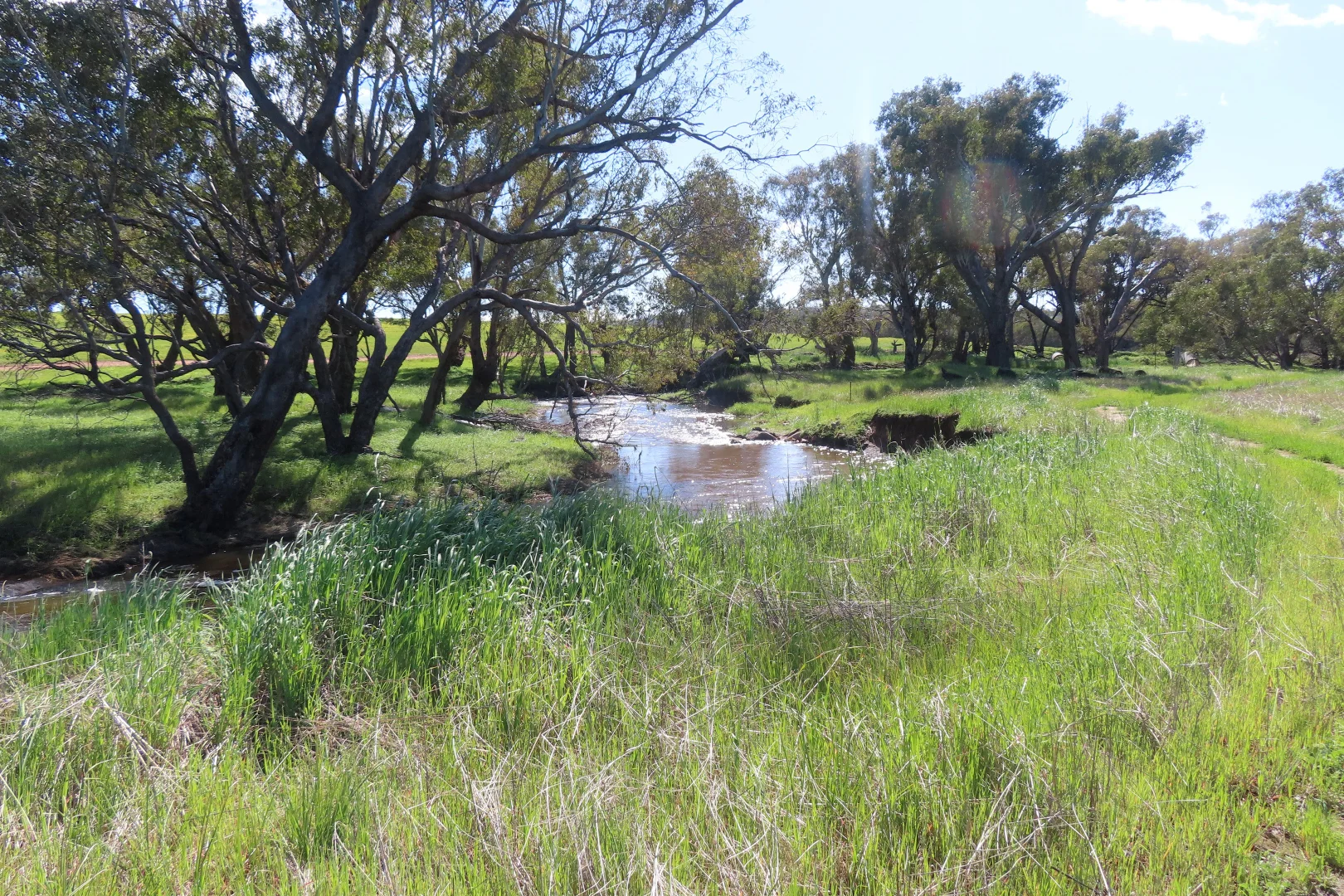 Additional image 5 of Lot 16 Barndon Street, Spencers Brook WA 6401