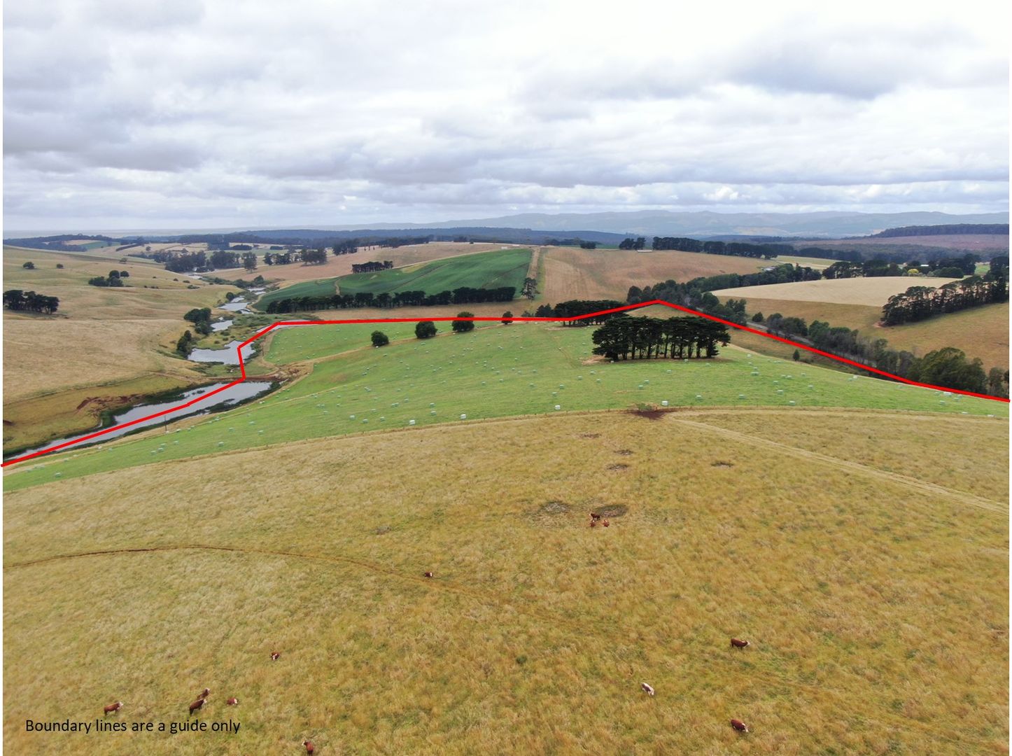 1989 McDonalds Track, Thorpdale VIC 3835, Image 1