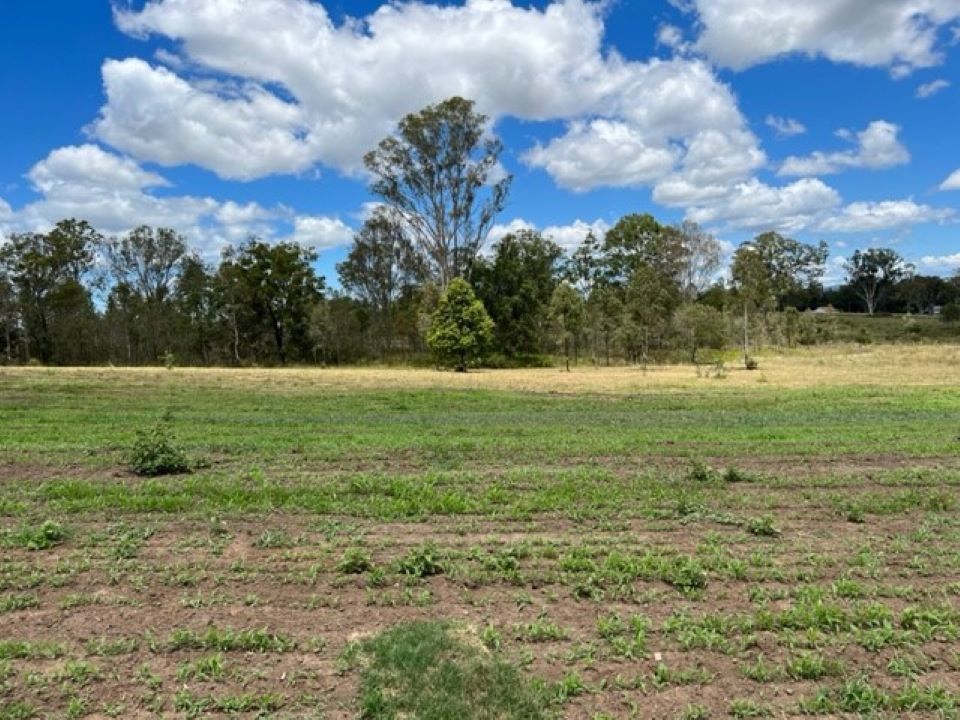 Woodhill QLD 4285 vacant land for Sale, 529,000 2018642674 Domain