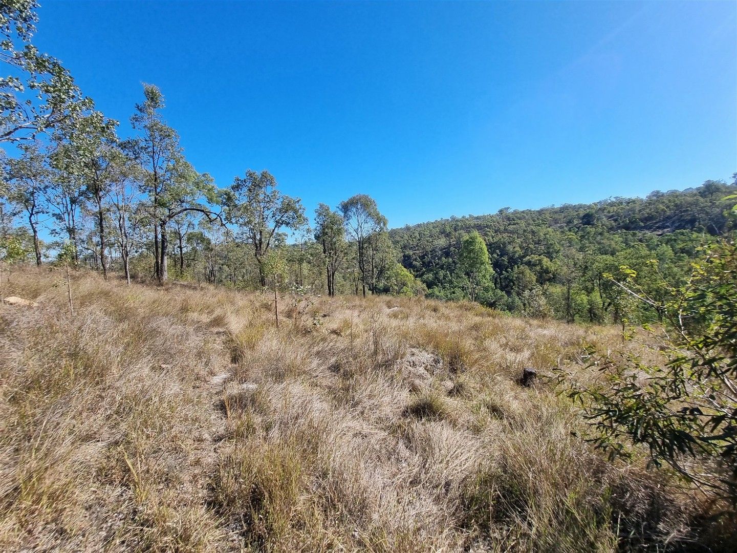 Lot 19 Stretton Drive, Blackbutt QLD 4314, Image 0