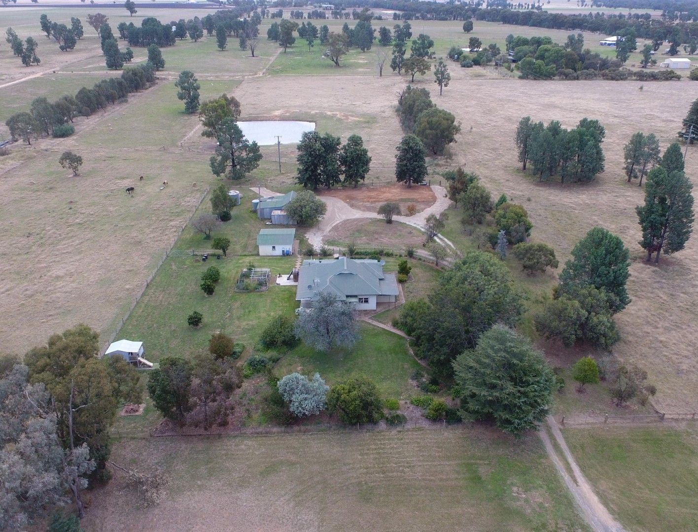 50 Yankee Crossing Road, Henty NSW 2658, Image 0