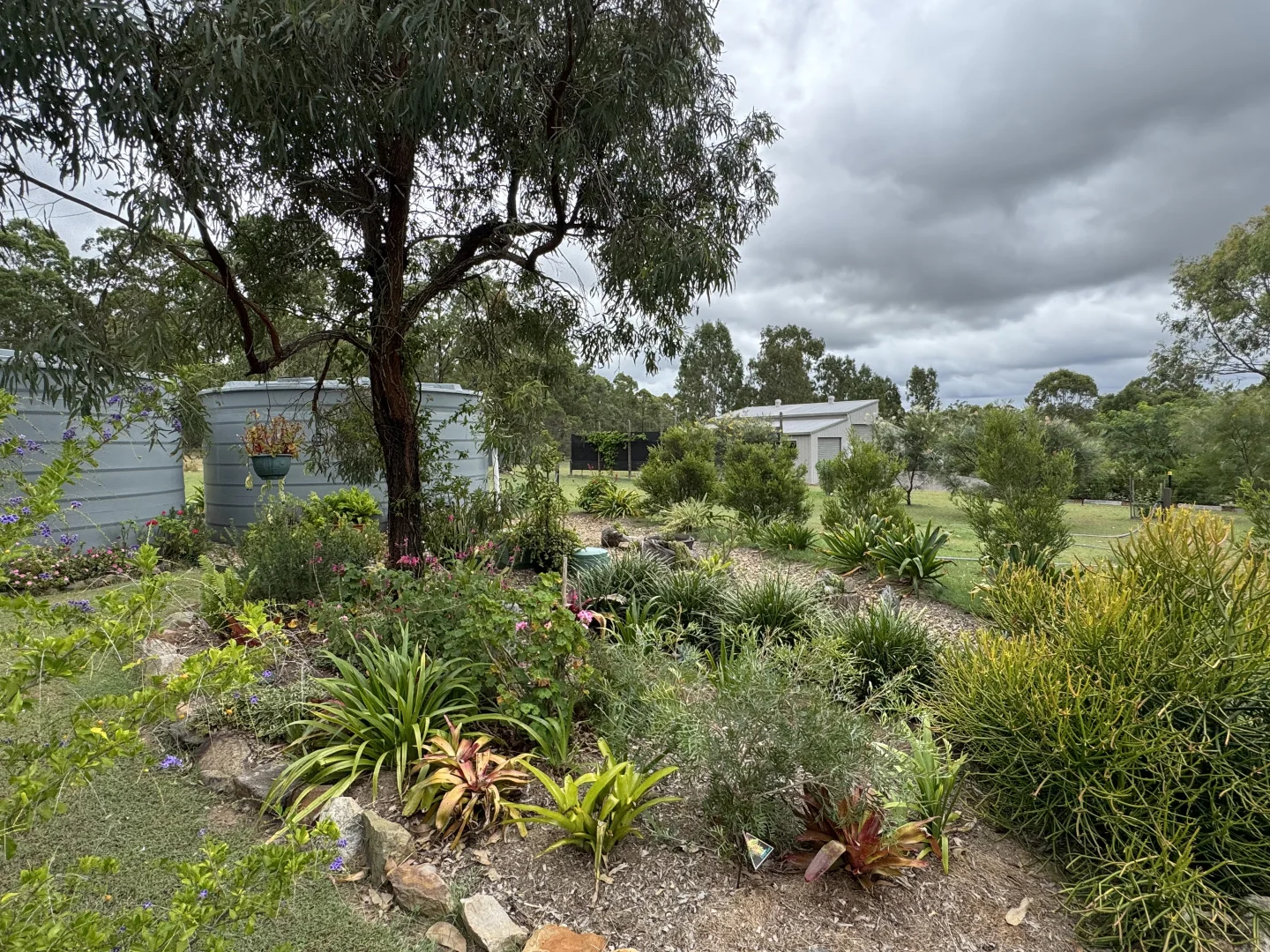 Image 25