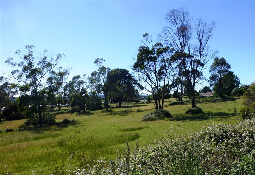 Lot 1 Greens Beach Road, Beaconsfield TAS 7270, Image 2