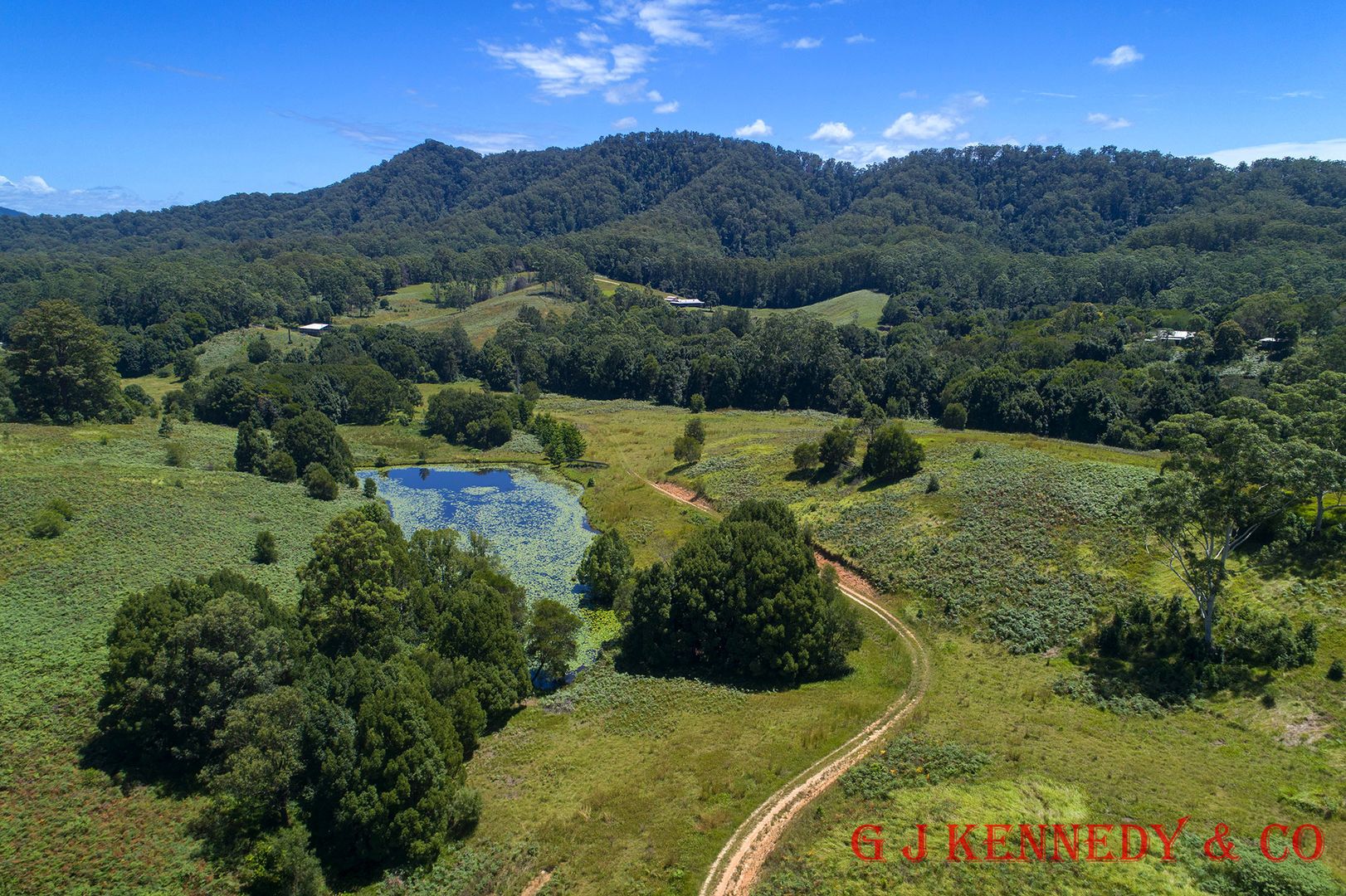 728 Bellingen Road, Missabotti NSW 2449, Image 1