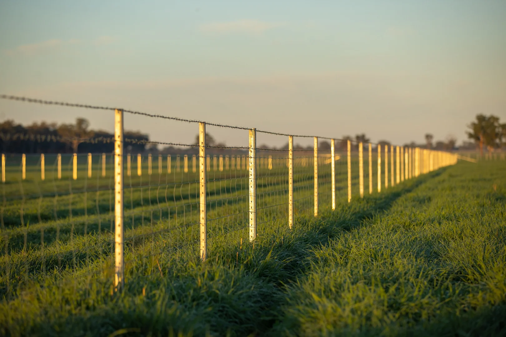 Additional image 5 of 1948 Coach Road, Morven NSW 2660