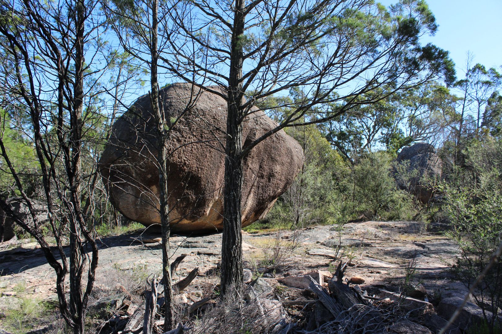 Lot 211 Spring Creek Rd, Greenlands QLD 4380, Image 1