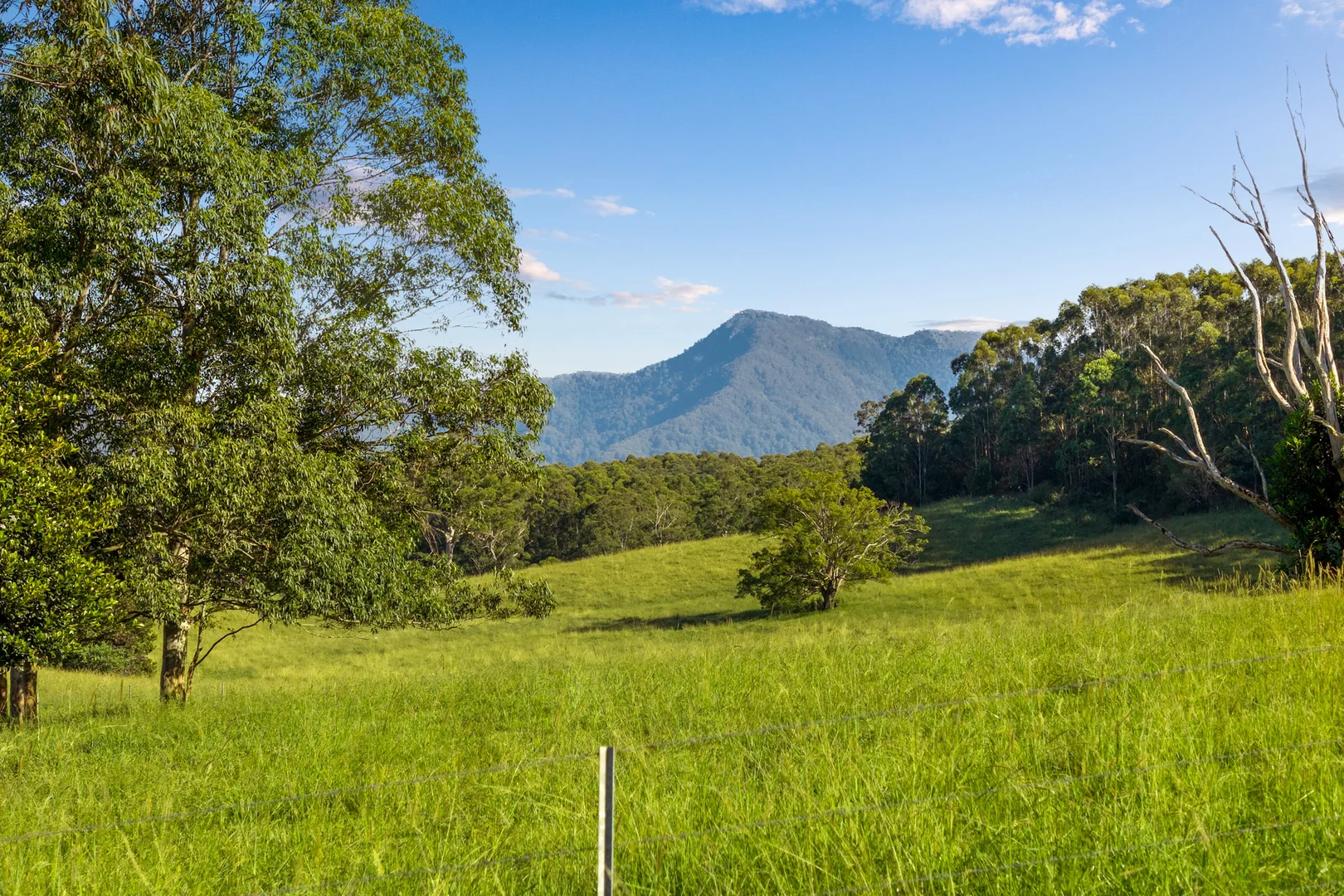 Additional image 8 of 423 Hydes Creek Road, Bellingen NSW 2454