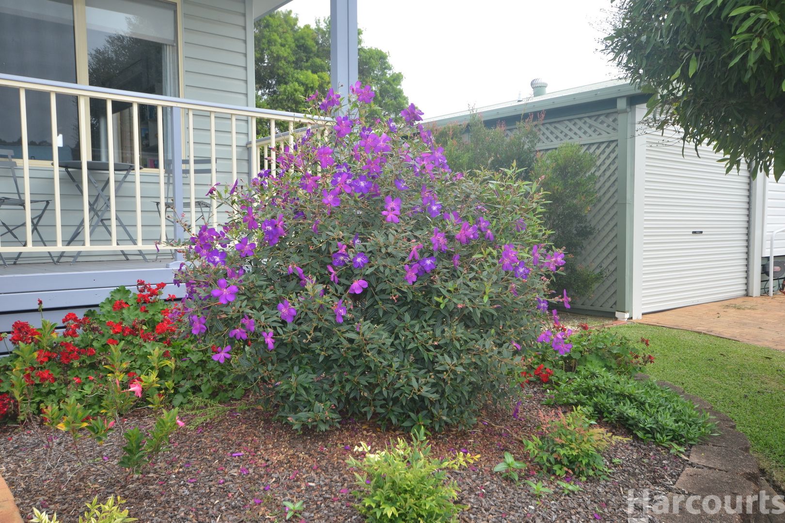 24/1 Greenmeadows Drive, Port Macquarie NSW 2444, Image 1