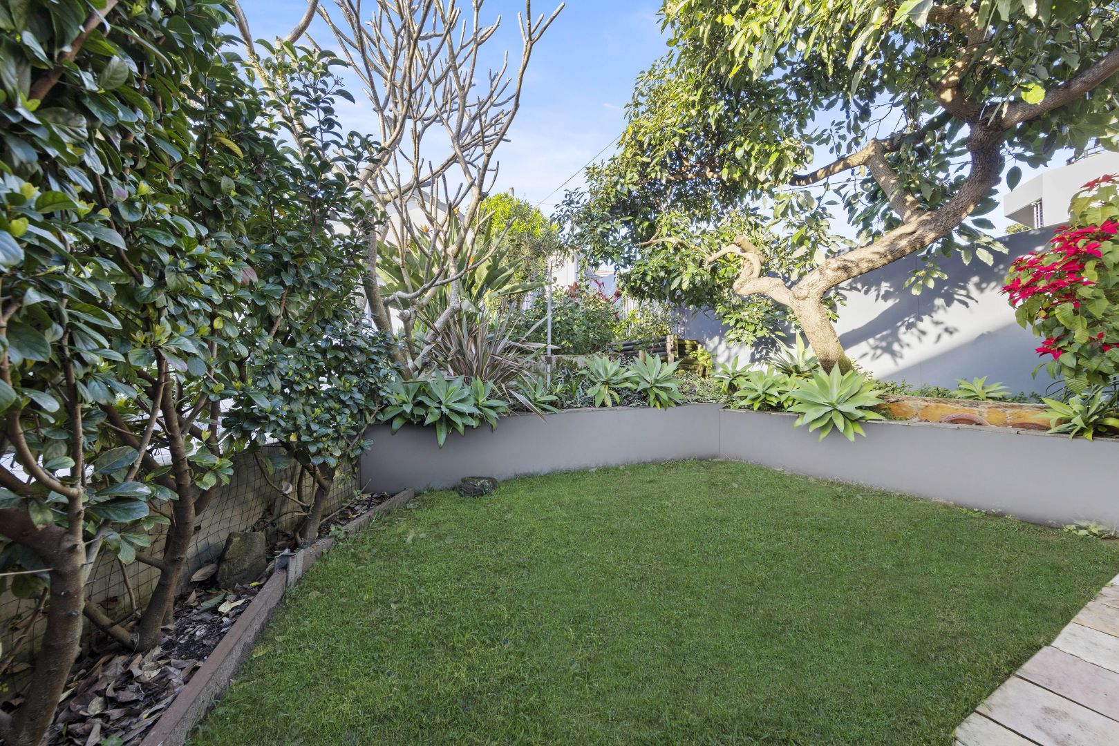 1/77 Fairlight Street, Fairlight NSW 2094, Image 2