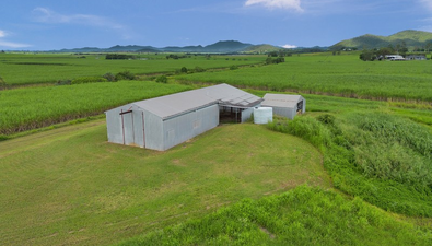 Picture of 995 Mount Martin Loop Road, MOUNT MARTIN QLD 4754
