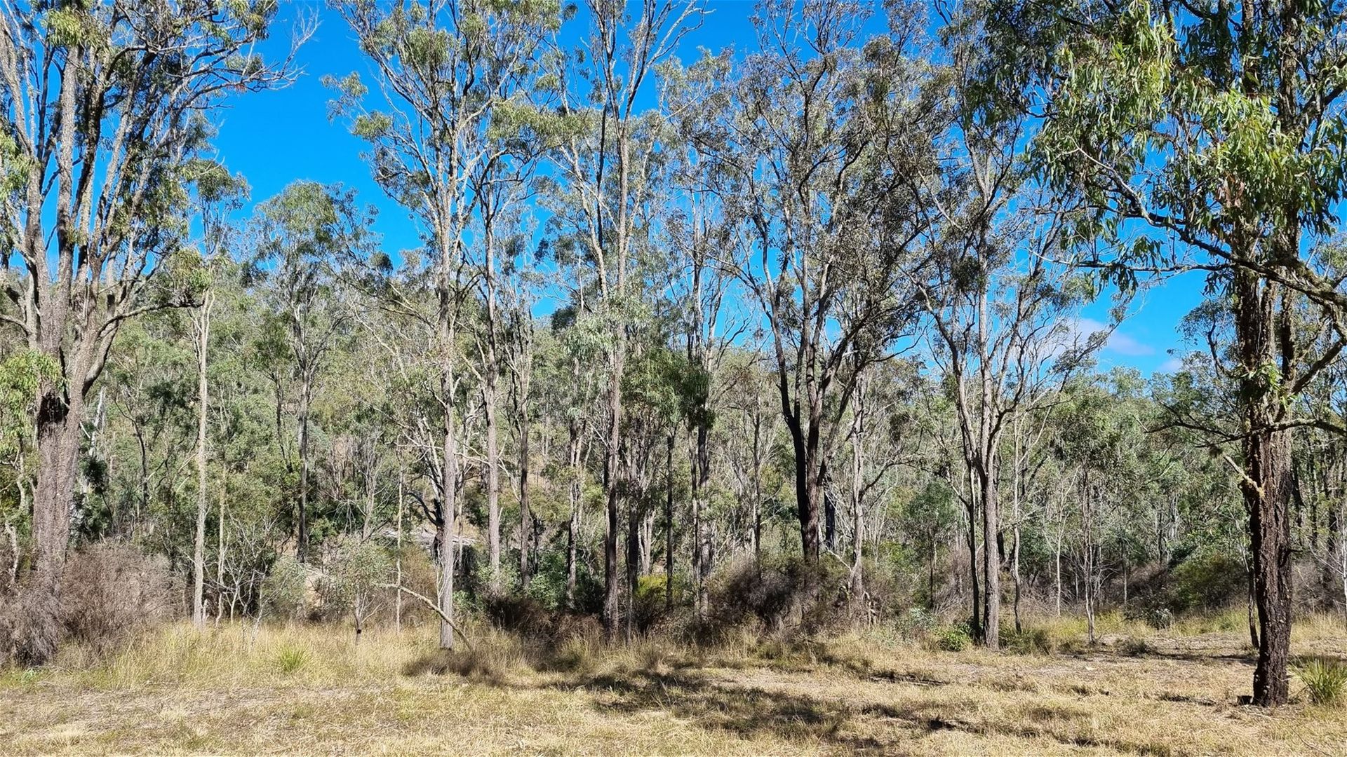 Lot 389 East Cooyar Road, Cooyar QLD 4402, Image 1