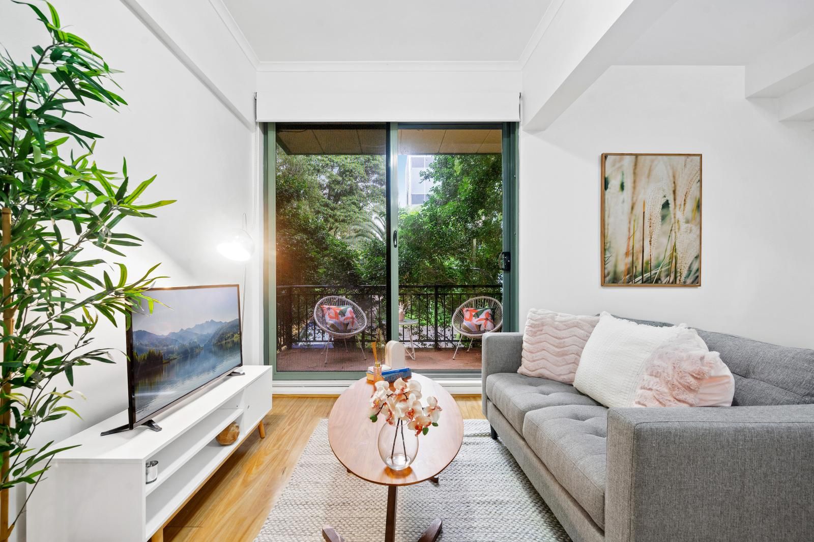 Studio in 5/8 Cavill Avenue, ASHFIELD NSW, 2131