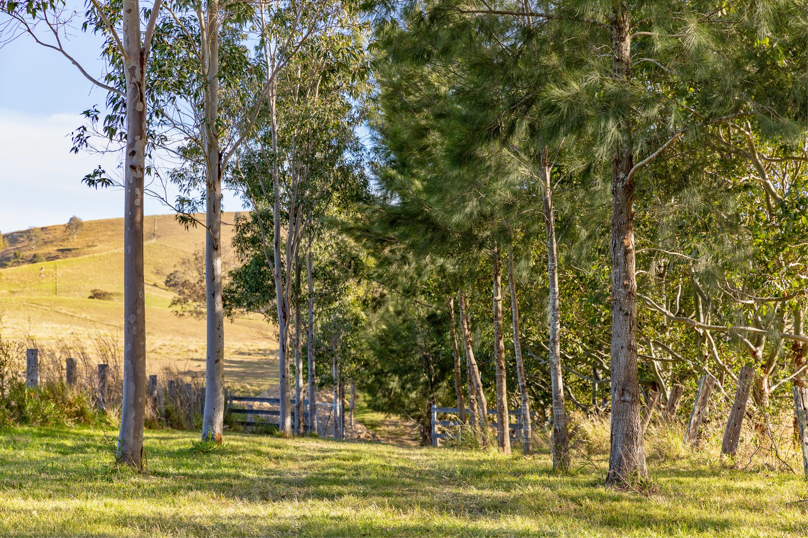 Lot 13 Henneys Road, Dungog NSW 2420, Image 1