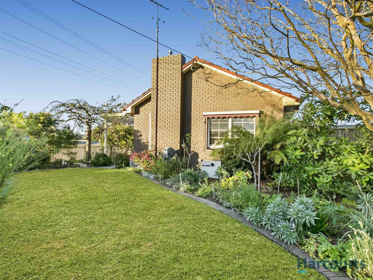 16 Ashby Street, Trafalgar VIC 3824, Image 0