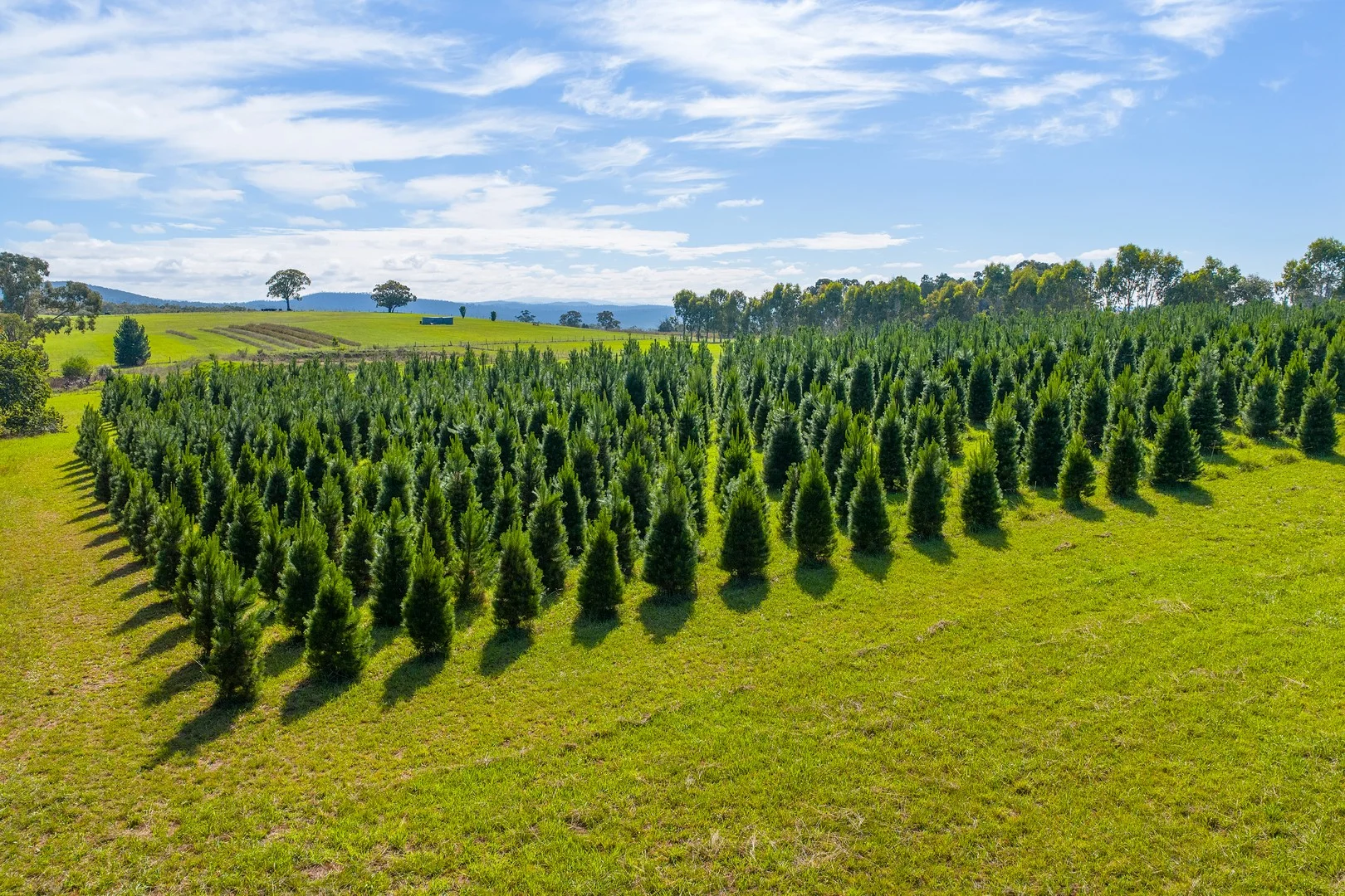 185 McNamaras Road, Sarsfield VIC 3875