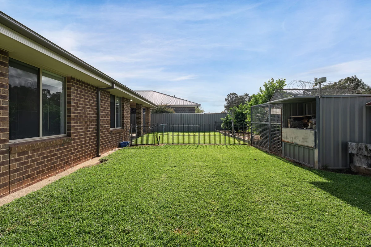 Image 25