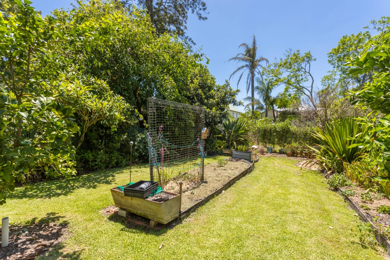 Additional image 30 of 1-5 William Street, Wingham NSW 2429