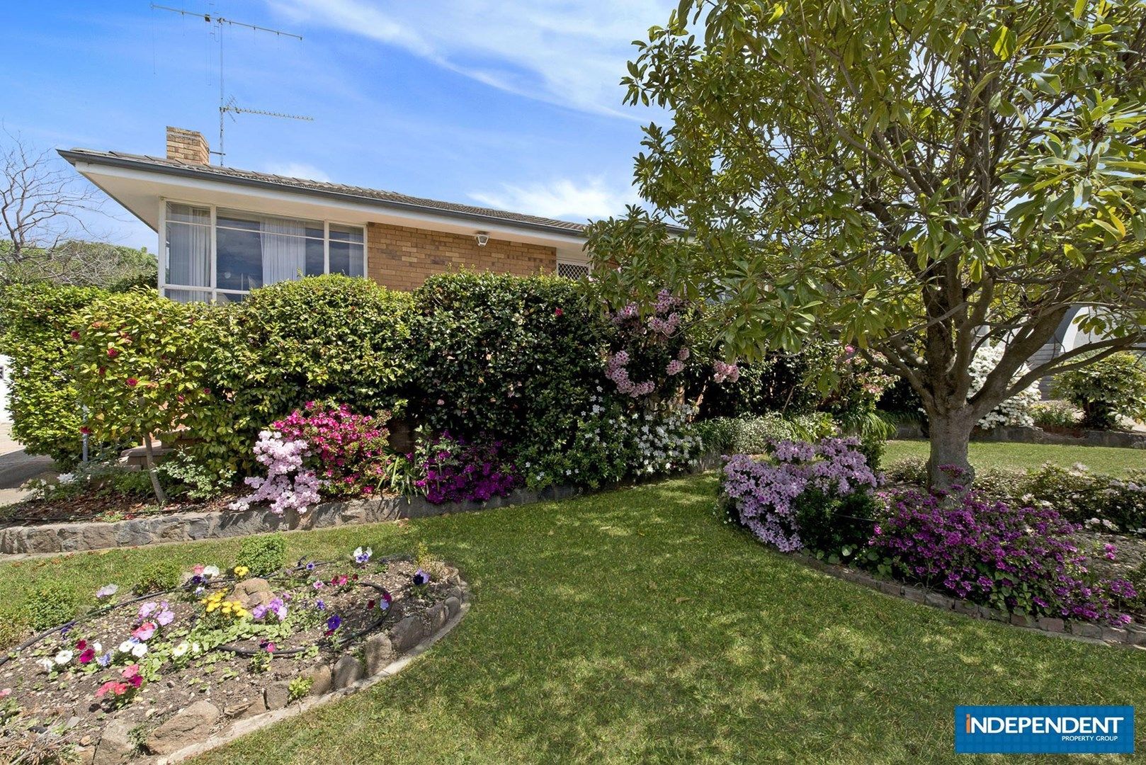 5 Beedham Place, Lyons ACT 2606, Image 0