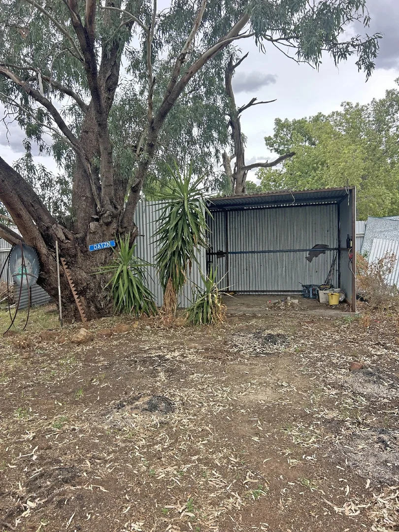 Additional image 18 of 7 Denman St, Bourke NSW 2840