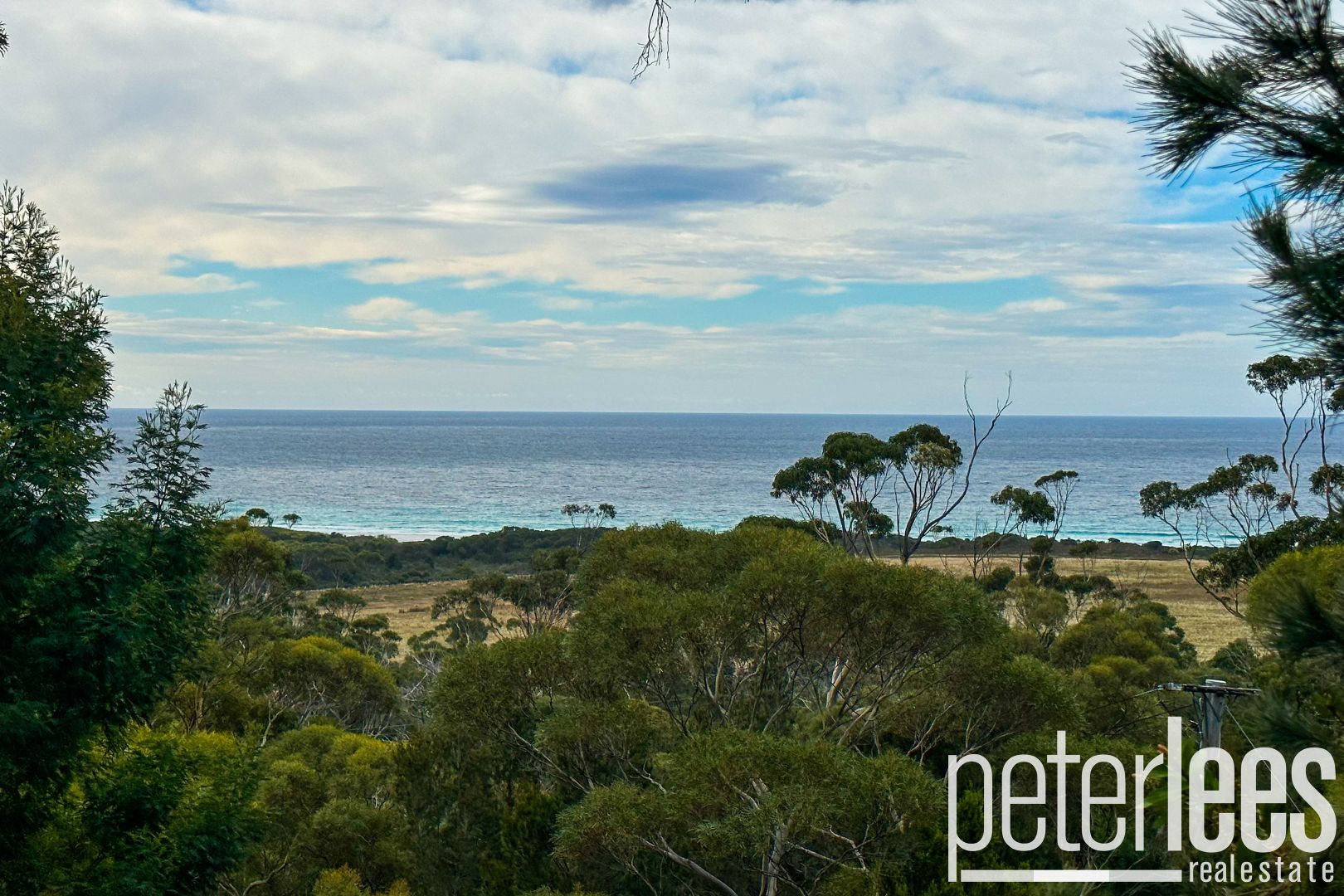 19 Rosedale Road, Bicheno TAS 7215, Image 1