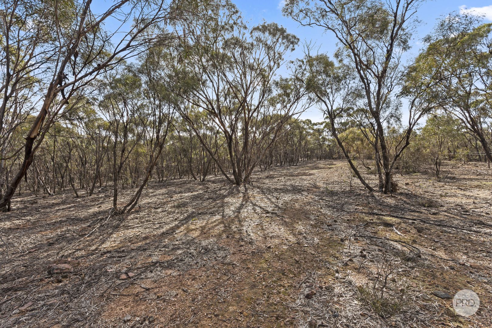 Lot 7 Inglewood-Salisbury Road, Inglewood VIC 3517, Image 1