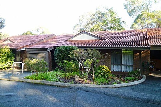 Picture of 6/106 Williams Street, GOOSEBERRY HILL WA 6076