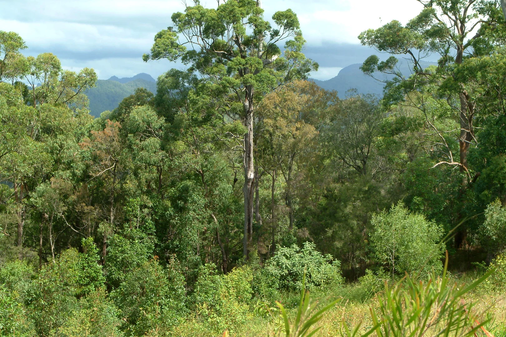 Image 8
