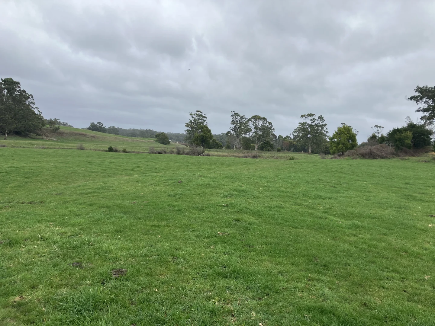 Additional image 12 of 16797 Bass Highway, Flowerdale TAS 7325