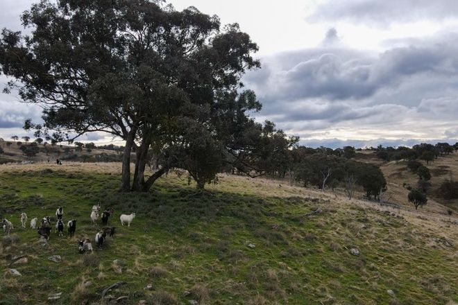 Picture of Fairview, Hill End Road, HILL END NSW 2850