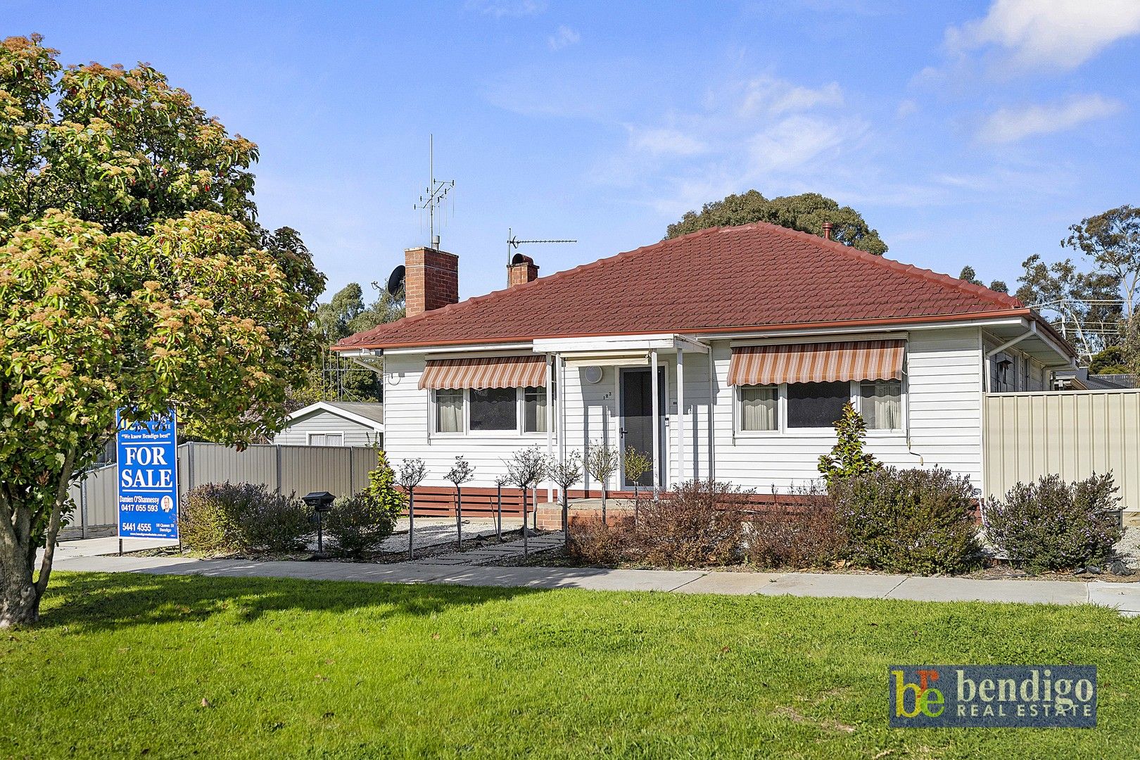 123 Panton Street, Golden Square VIC 3555, Image 0