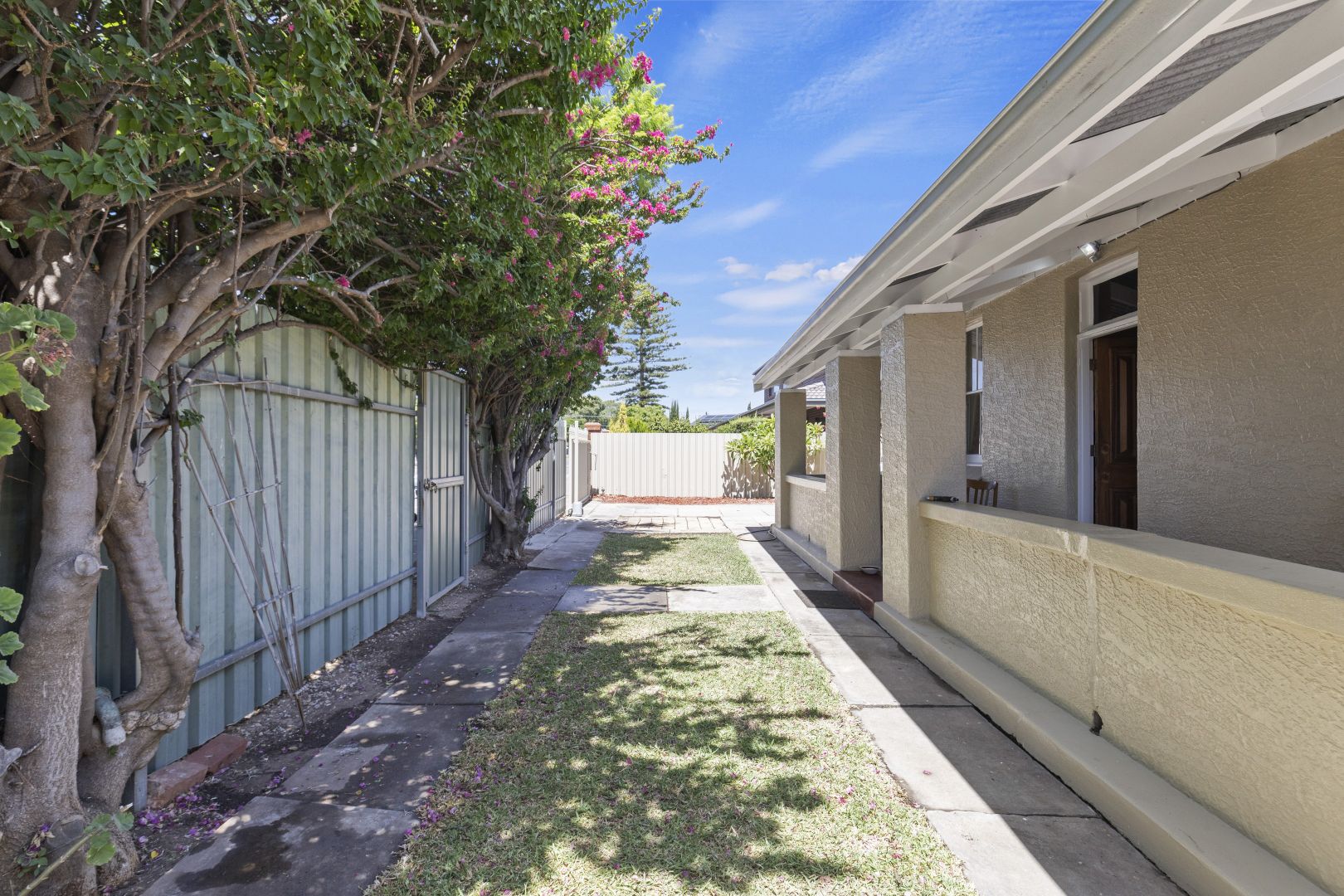 6A Harrison Road, Renown Park SA 5008 House For Rent Domain